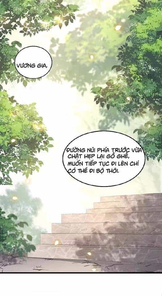 Con Đường Hoang Dã Của Vương Phi - Chương 28 - ảnh 25