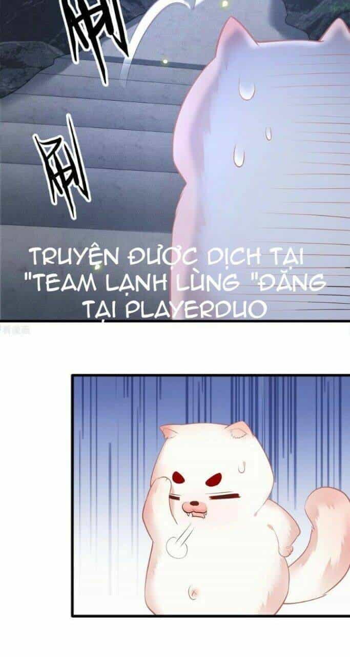 Con Đường Hoang Dã Của Vương Phi - Chương 33 - ảnh 16