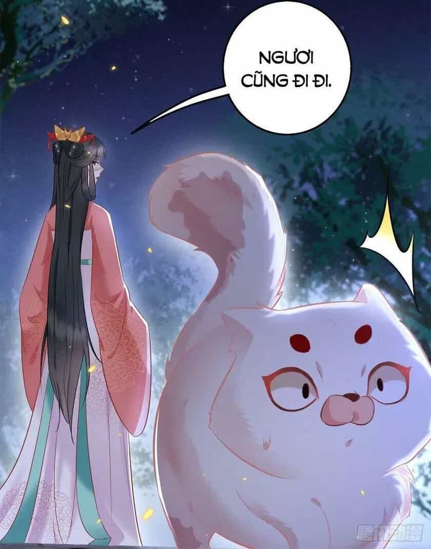 Con Đường Hoang Dã Của Vương Phi - Chương 6 - ảnh 20