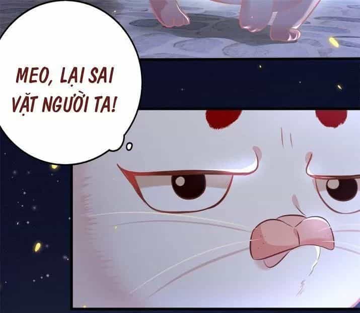 Con Đường Hoang Dã Của Vương Phi - Chương 6 - ảnh 21