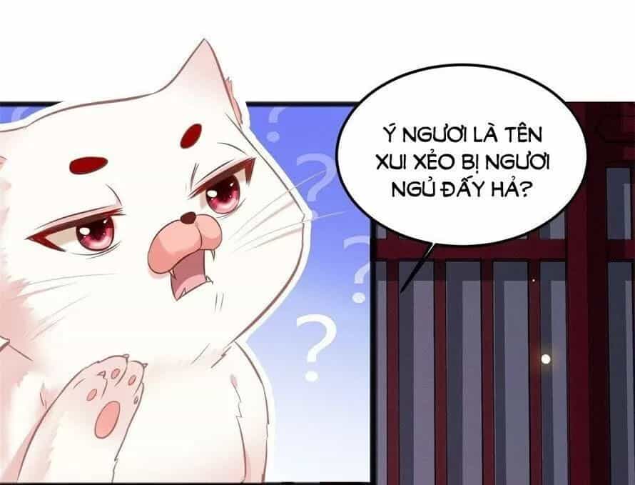 Con Đường Hoang Dã Của Vương Phi - Chương 8 - ảnh 11