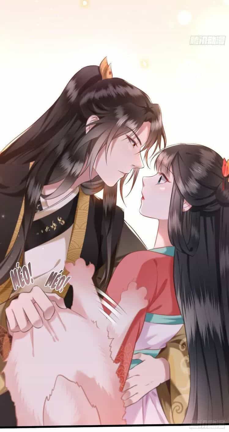 Con Đường Hoang Dã Của Vương Phi - Chương 9 - ảnh 12