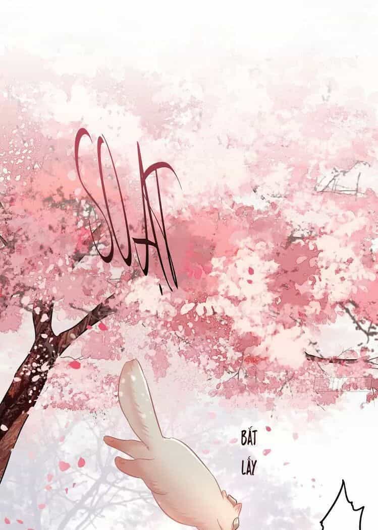 Con Đường Hoang Dã Của Vương Phi - Chương 9 - ảnh 9