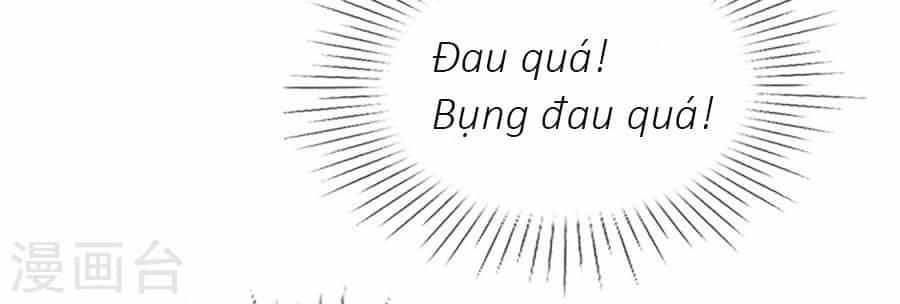 Con Đường Phản Công Của Sủng Thê - Chương 18 - ảnh 19