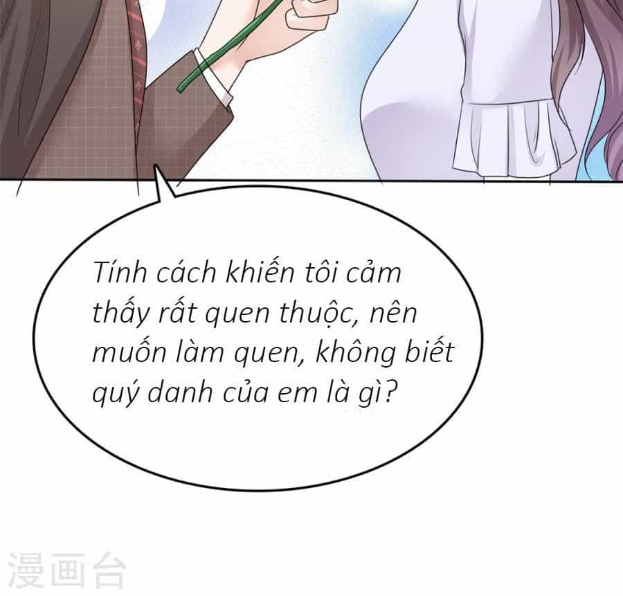 Con Đường Phản Công Của Sủng Thê - Chương 19 - ảnh 18