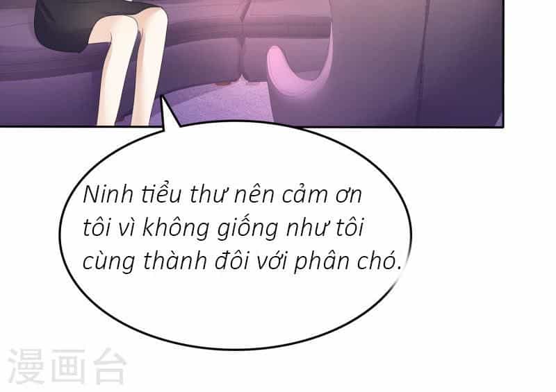 Con Đường Phản Công Của Sủng Thê - Chương 20 - ảnh 29