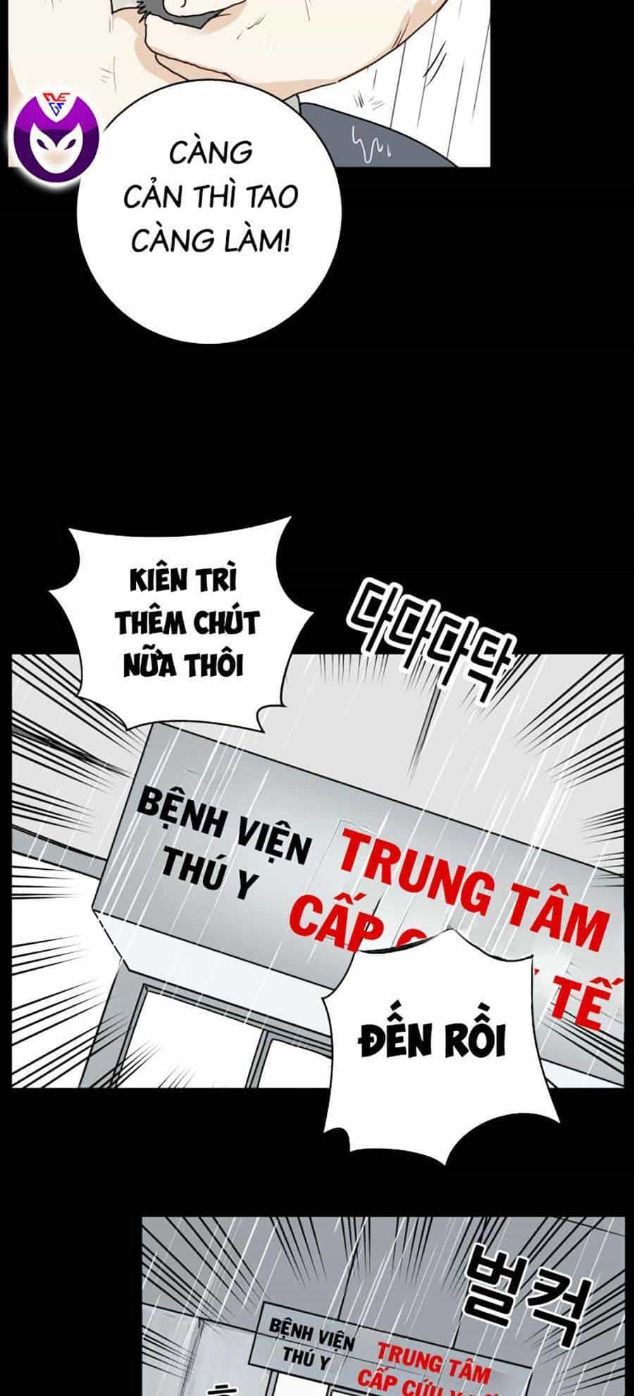 Con Mèo Đô Vật Của Tôi - Chương 1 - ảnh 18