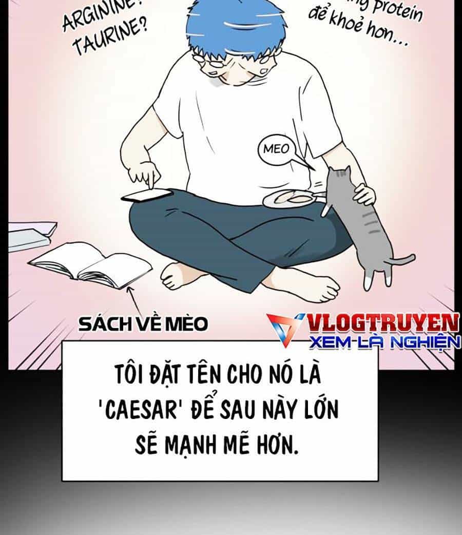 Con Mèo Đô Vật Của Tôi - Chương 1 - ảnh 25