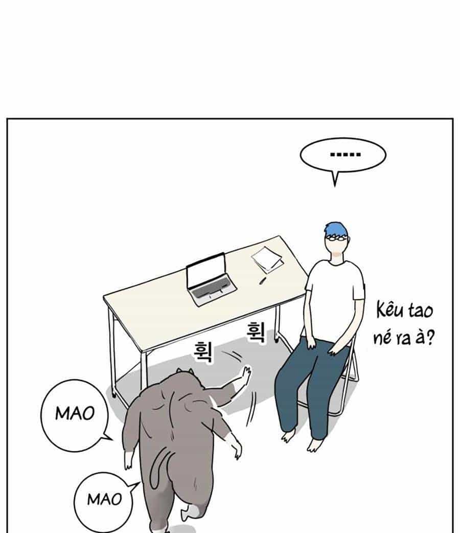 Con Mèo Đô Vật Của Tôi - Chương 1 - ảnh 31
