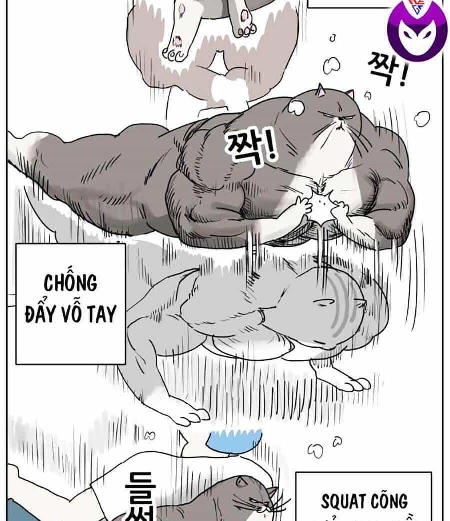 Con Mèo Đô Vật Của Tôi - Chương 1 - ảnh 34