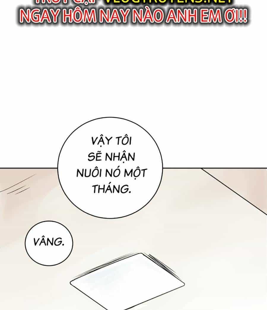Con Mèo Đô Vật Của Tôi - Chương 1 - ảnh 46