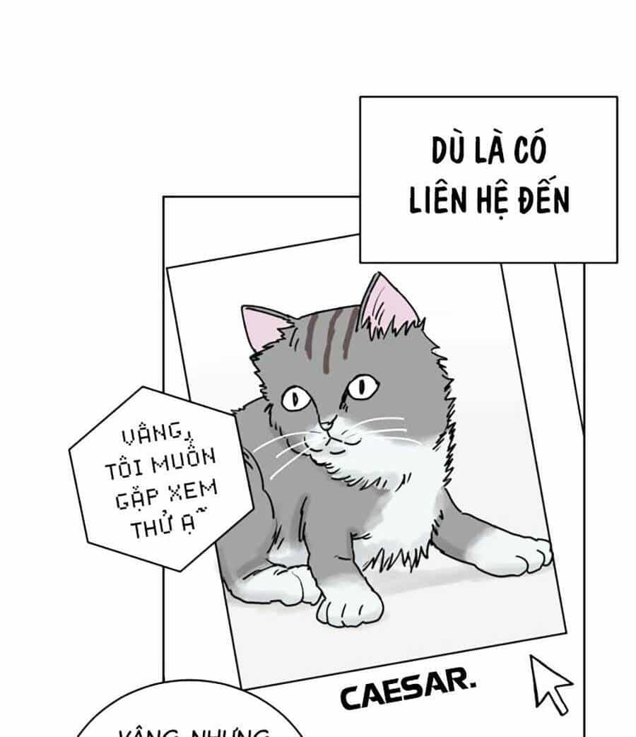 Con Mèo Đô Vật Của Tôi - Chương 1 - ảnh 50
