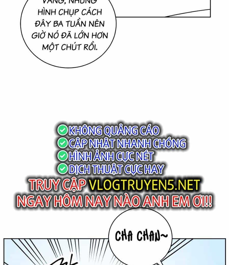 Con Mèo Đô Vật Của Tôi - Chương 1 - ảnh 51