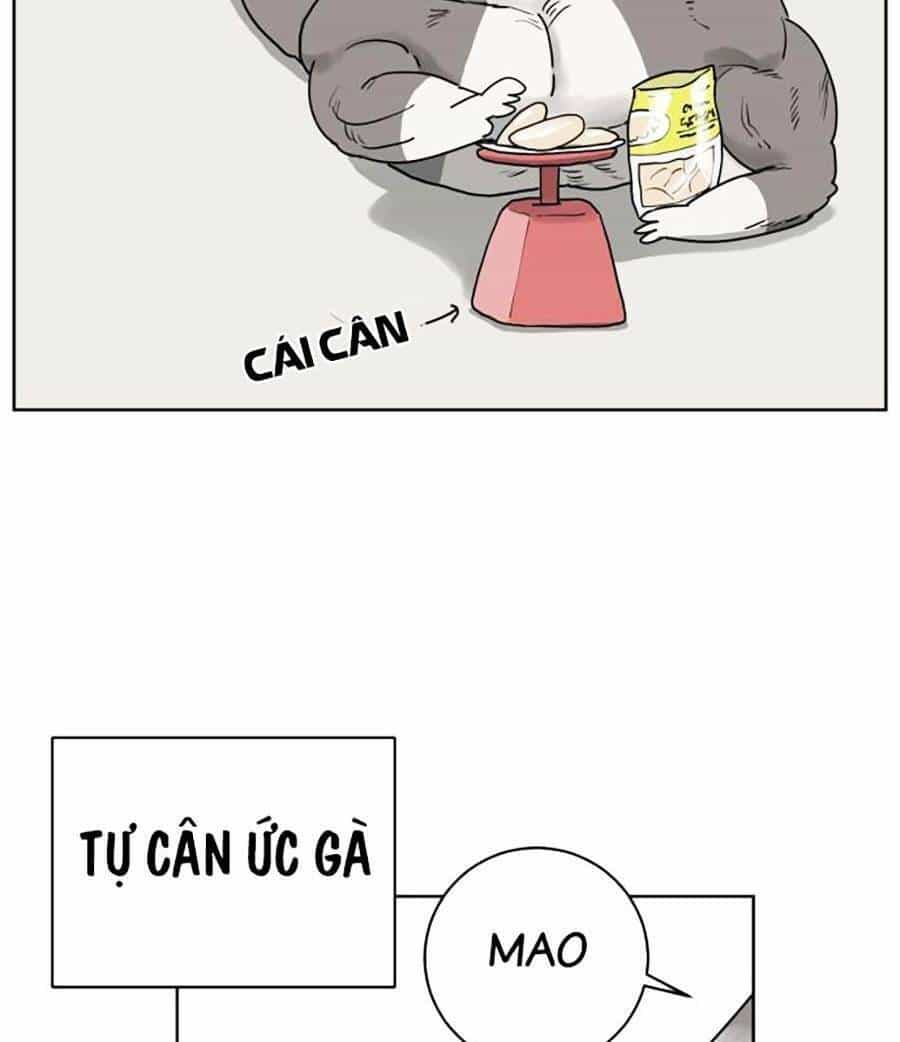 Con Mèo Đô Vật Của Tôi - Chương 1 - ảnh 69