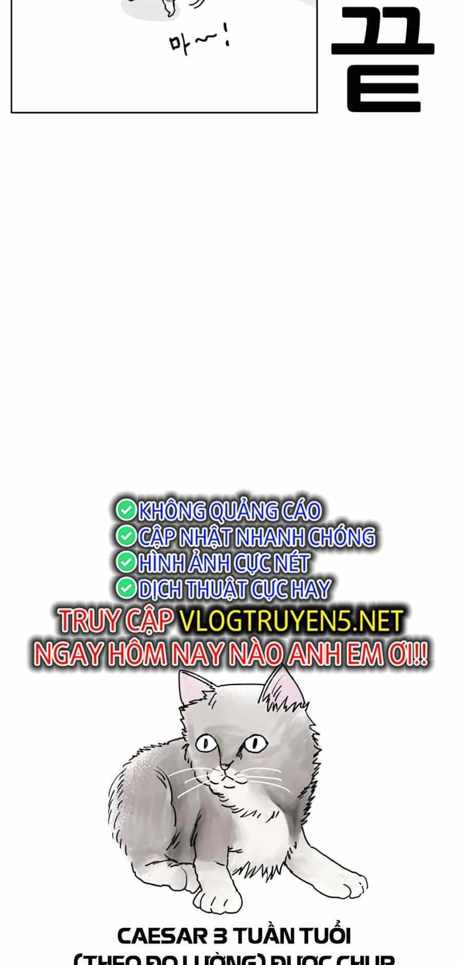 Con Mèo Đô Vật Của Tôi - Chương 2 - ảnh 104
