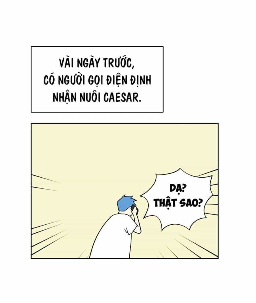 Con Mèo Đô Vật Của Tôi - Chương 2 - ảnh 2