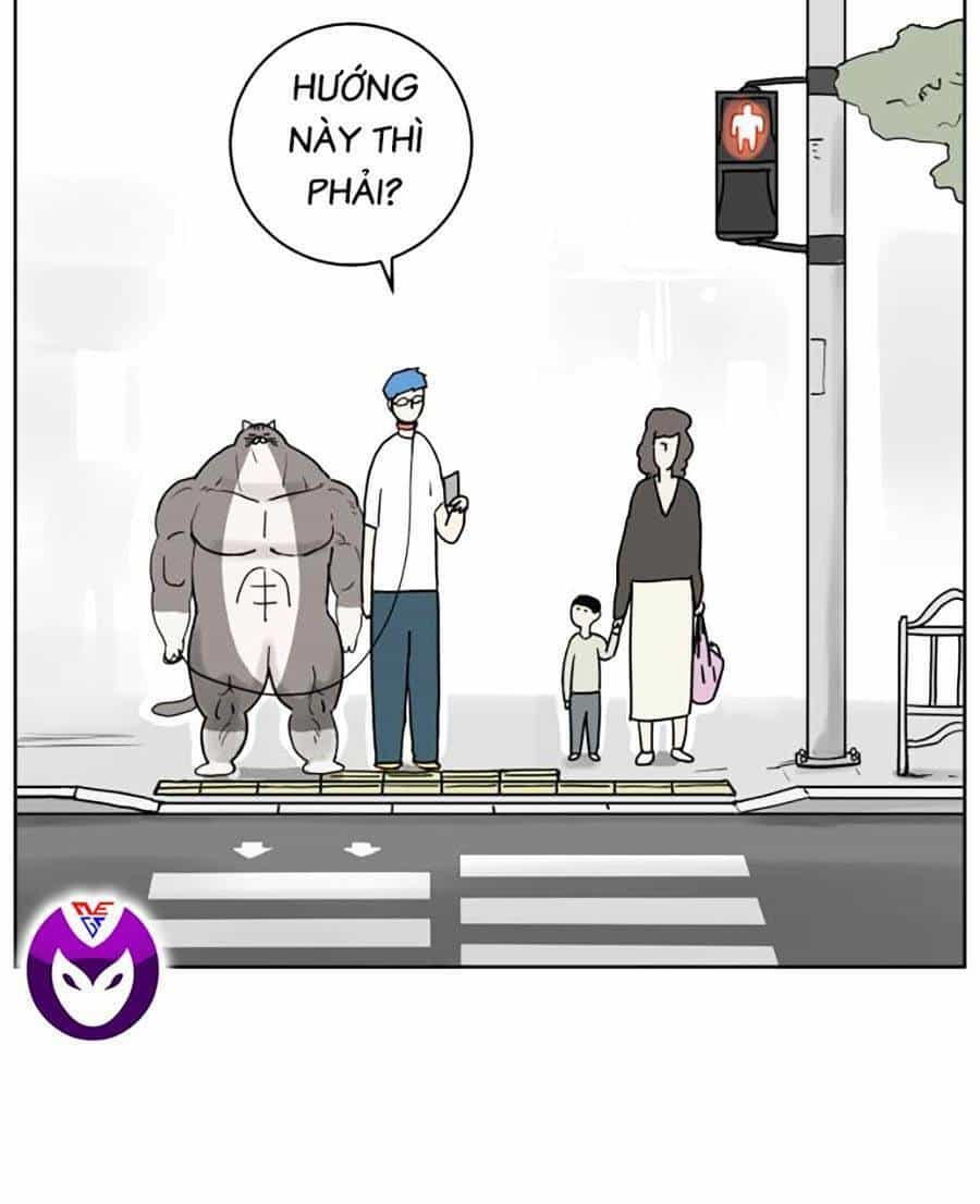 Con Mèo Đô Vật Của Tôi - Chương 2 - ảnh 65
