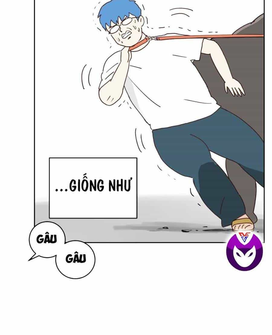 Con Mèo Đô Vật Của Tôi - Chương 2 - ảnh 77