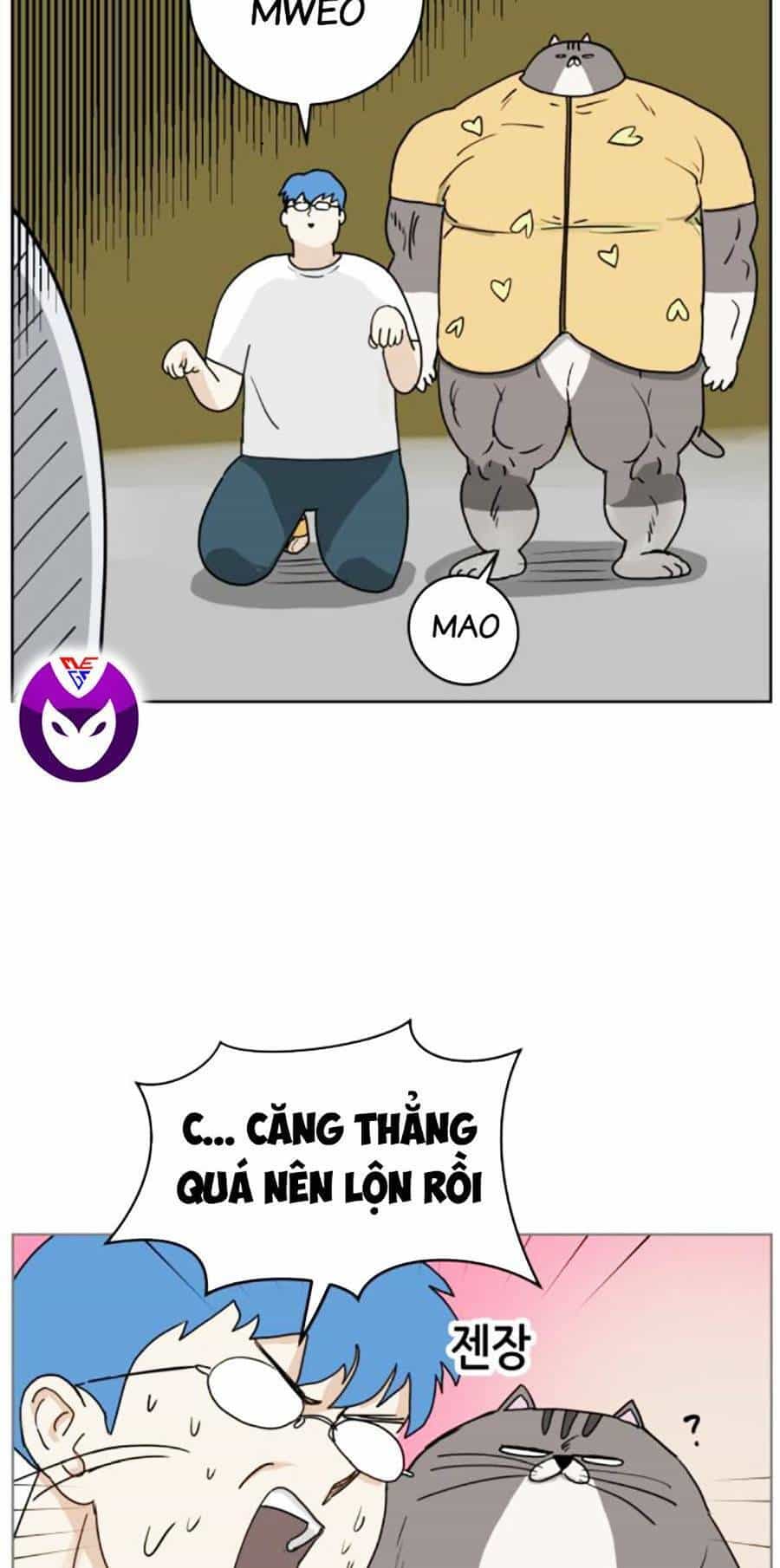 Con Mèo Đô Vật Của Tôi - Chương 3 - ảnh 10