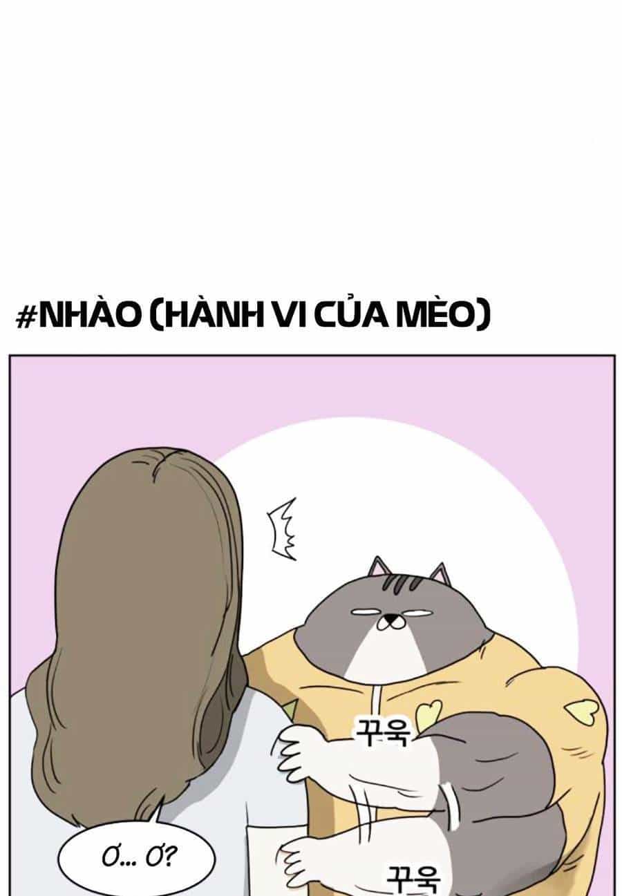 Con Mèo Đô Vật Của Tôi - Chương 3 - ảnh 22