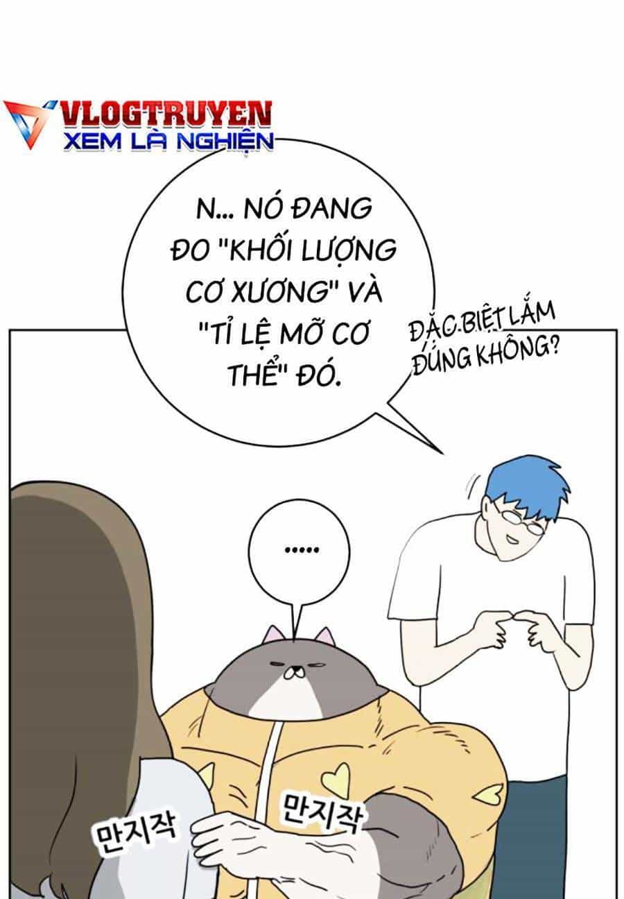 Con Mèo Đô Vật Của Tôi - Chương 3 - ảnh 24
