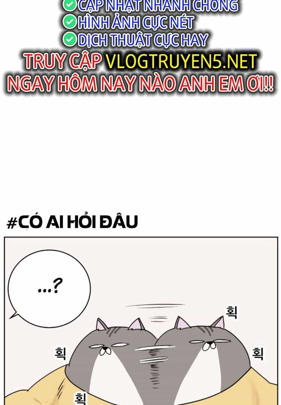 Con Mèo Đô Vật Của Tôi - Chương 3 - ảnh 27