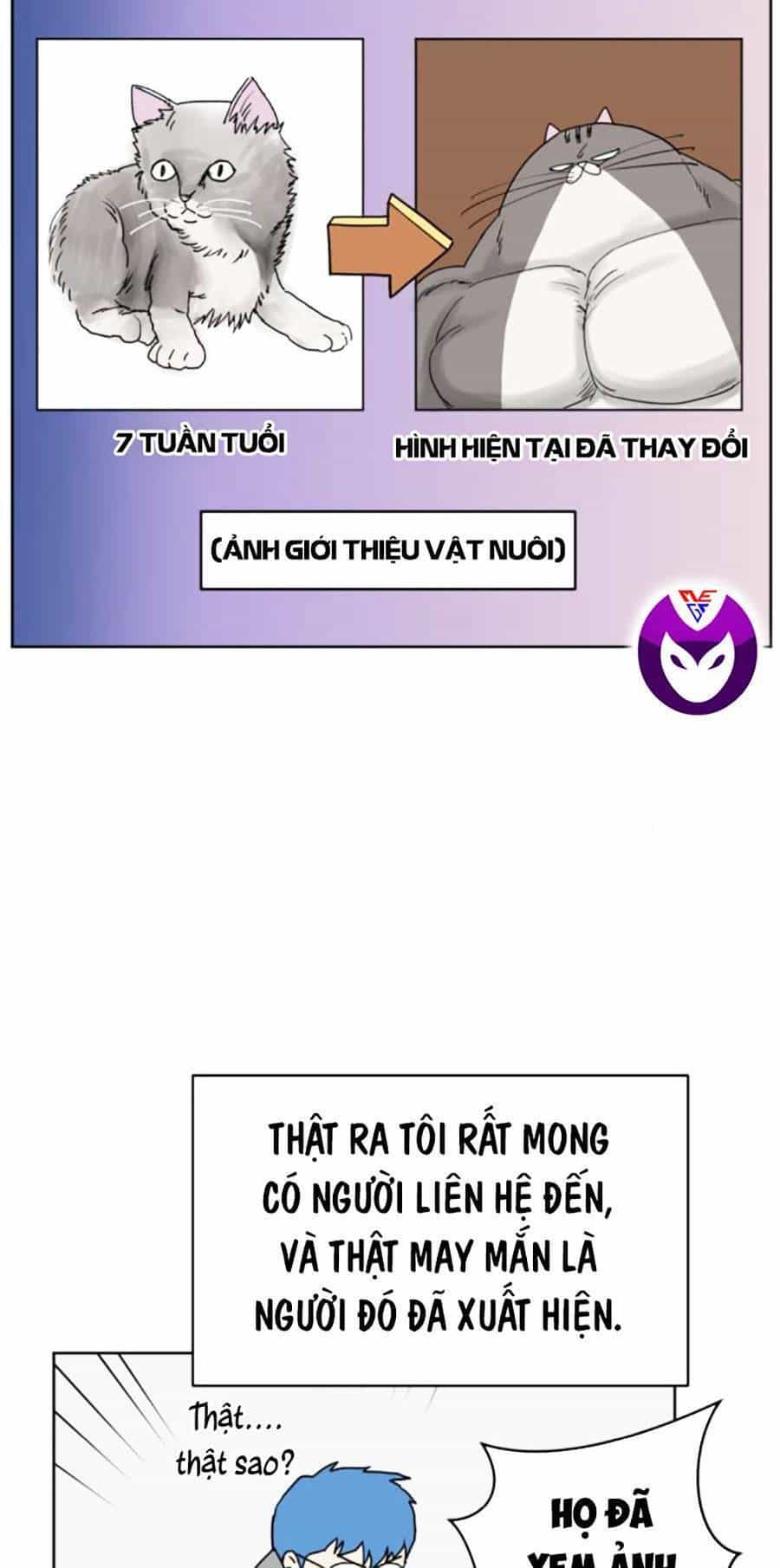 Con Mèo Đô Vật Của Tôi - Chương 3 - ảnh 3