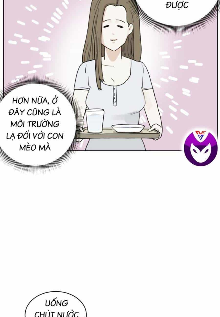Con Mèo Đô Vật Của Tôi - Chương 3 - ảnh 35