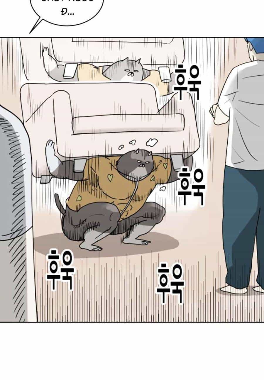 Con Mèo Đô Vật Của Tôi - Chương 3 - ảnh 36