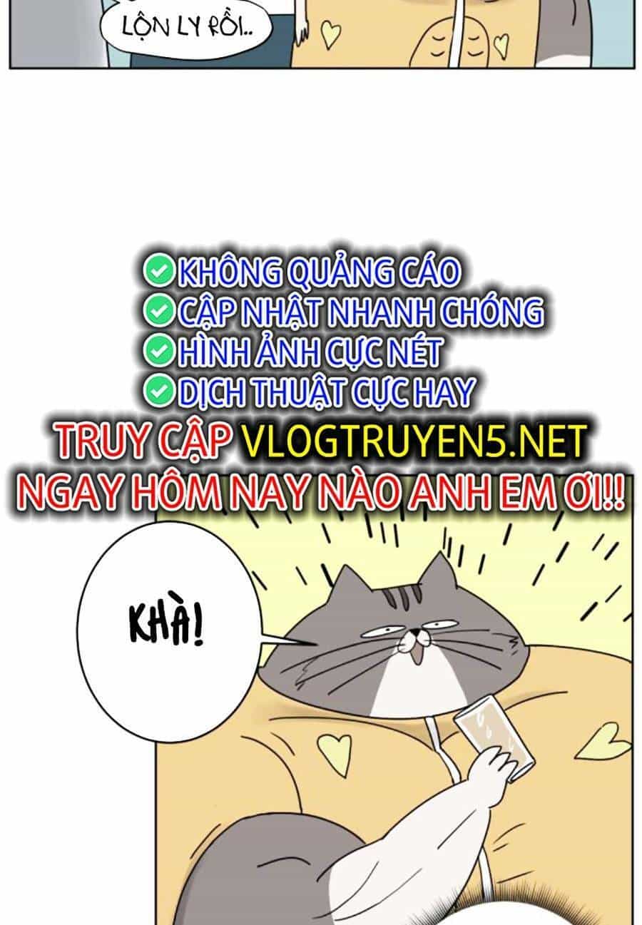 Con Mèo Đô Vật Của Tôi - Chương 3 - ảnh 42