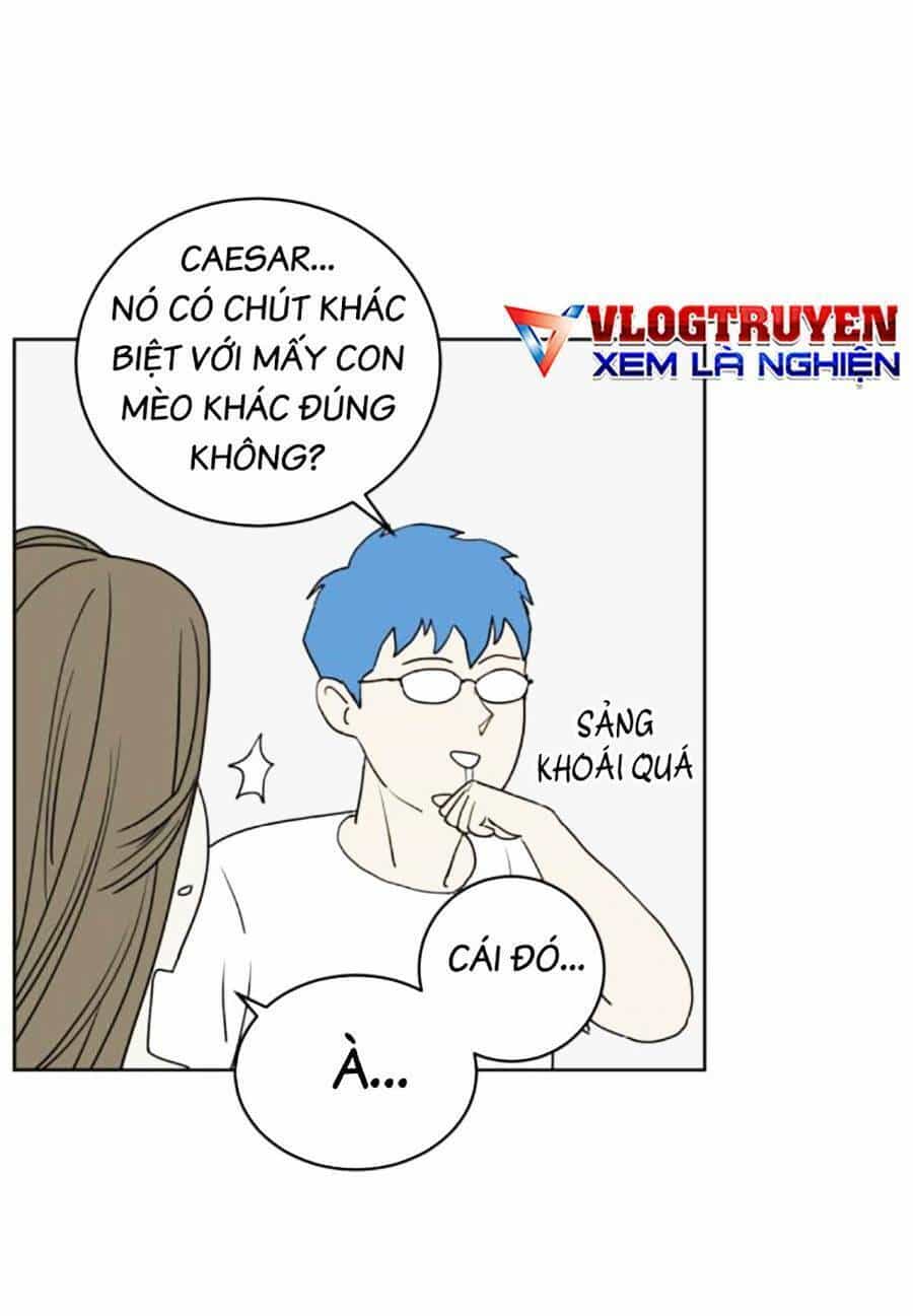Con Mèo Đô Vật Của Tôi - Chương 3 - ảnh 44