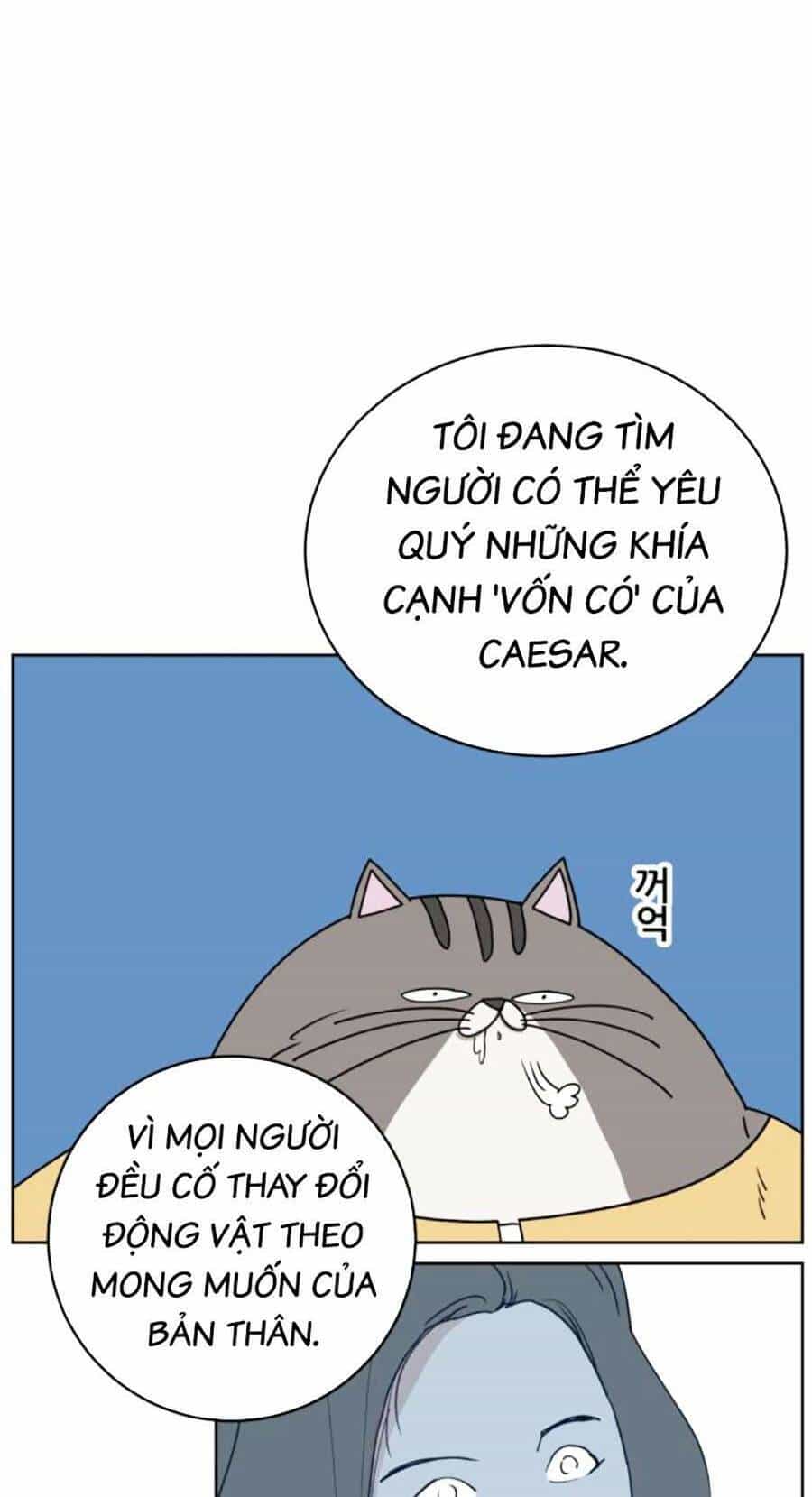 Con Mèo Đô Vật Của Tôi - Chương 3 - ảnh 47