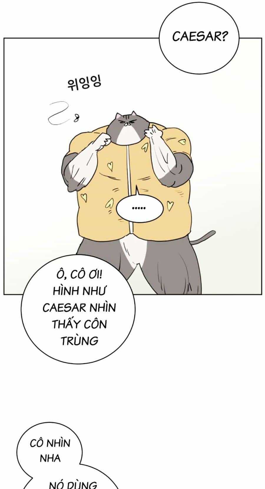 Con Mèo Đô Vật Của Tôi - Chương 3 - ảnh 55
