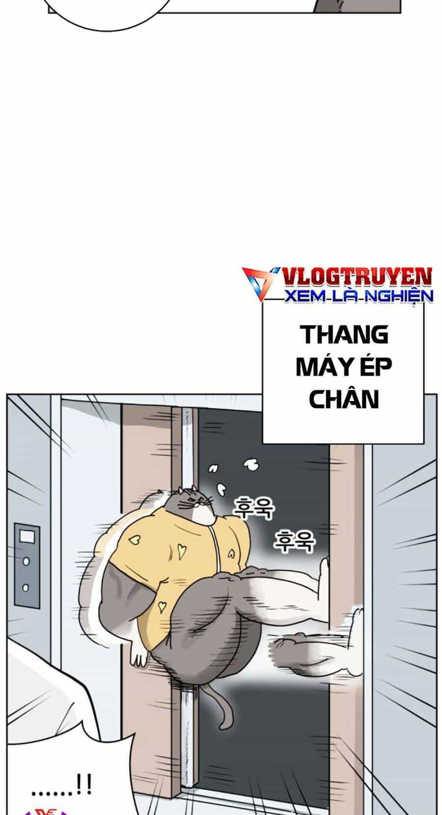 Con Mèo Đô Vật Của Tôi - Chương 3 - ảnh 69