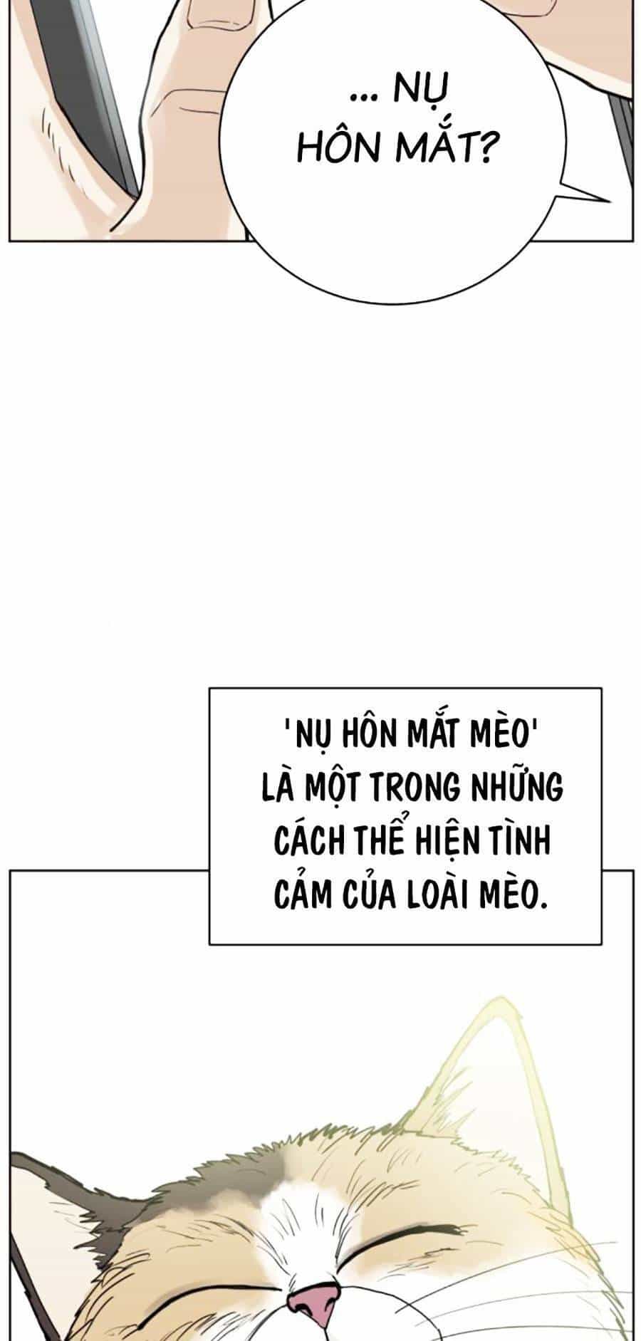 Con Mèo Đô Vật Của Tôi - Chương 4 - ảnh 16