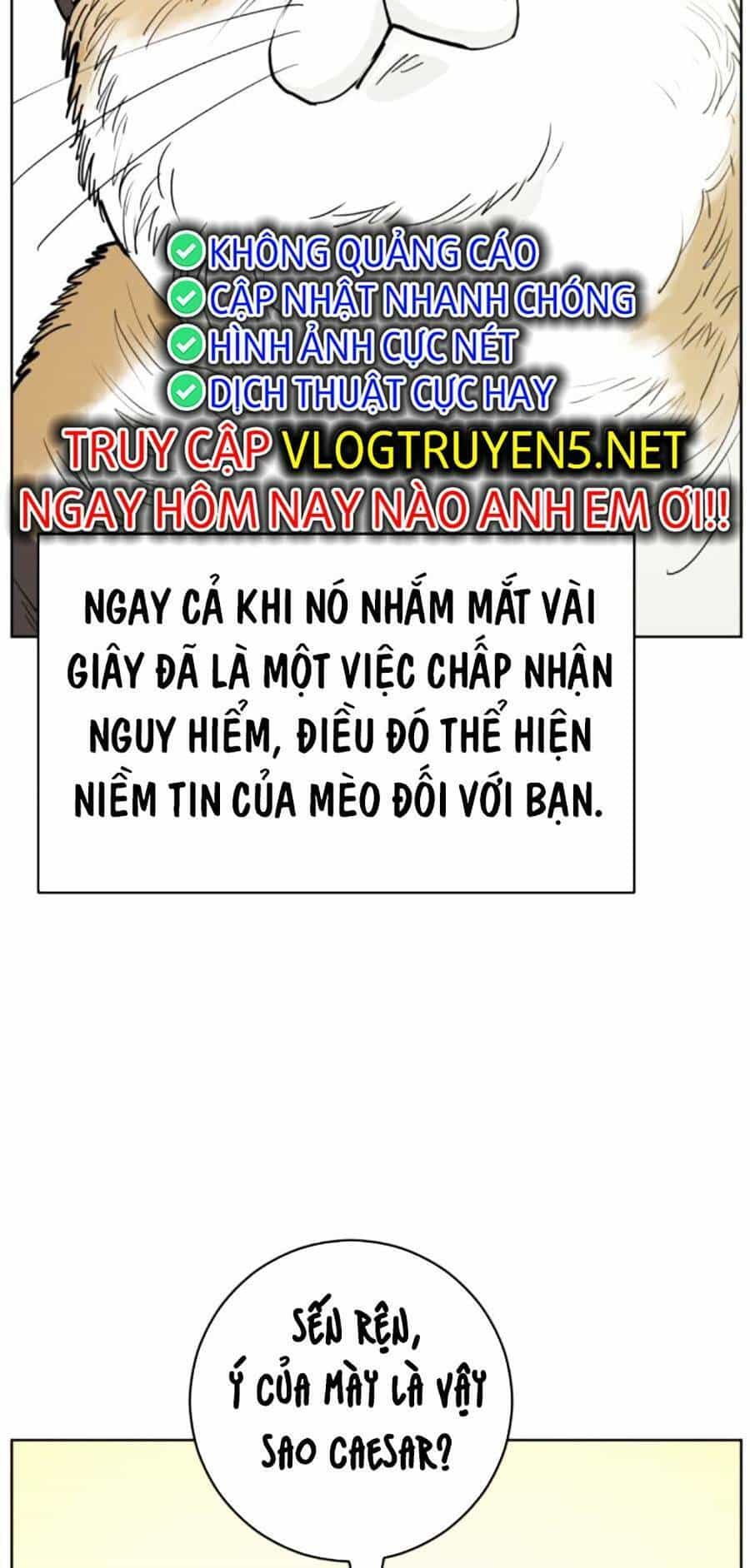 Con Mèo Đô Vật Của Tôi - Chương 4 - ảnh 17
