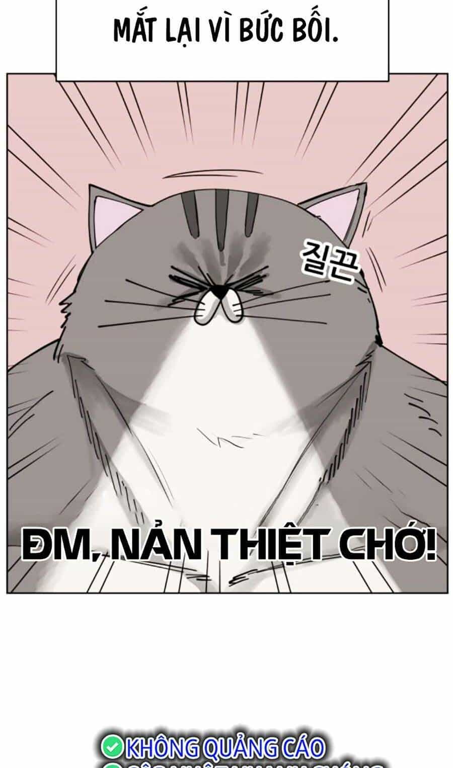 Con Mèo Đô Vật Của Tôi - Chương 4 - ảnh 58