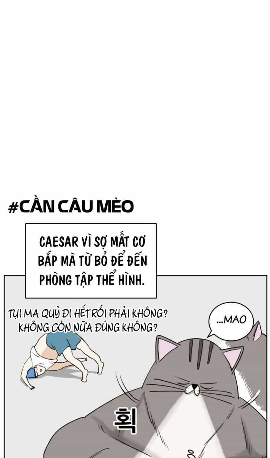 Con Mèo Đô Vật Của Tôi - Chương 4 - ảnh 60