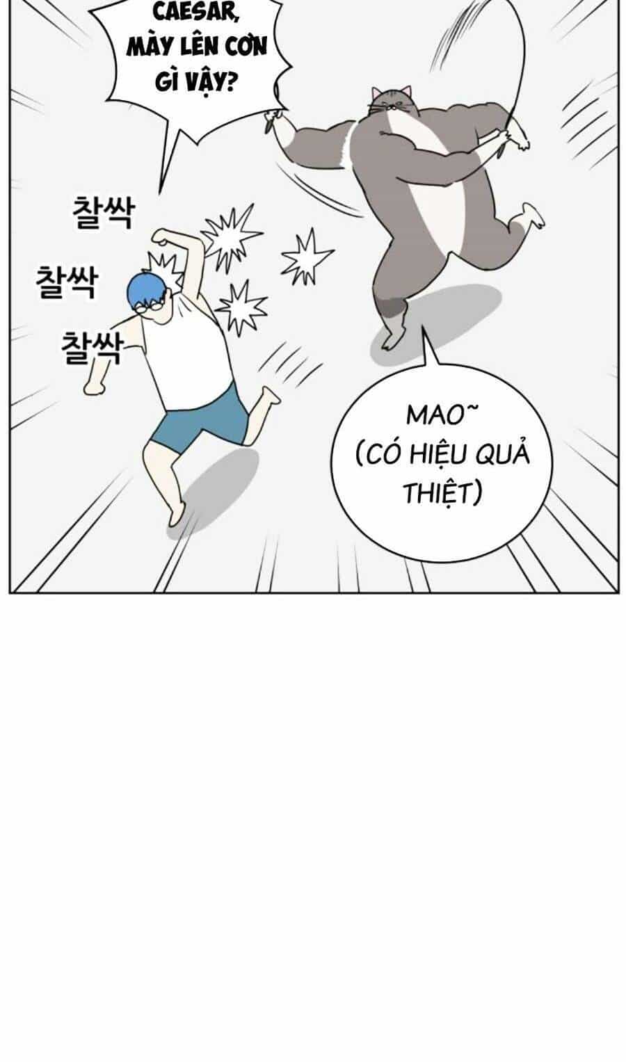 Con Mèo Đô Vật Của Tôi - Chương 4 - ảnh 70