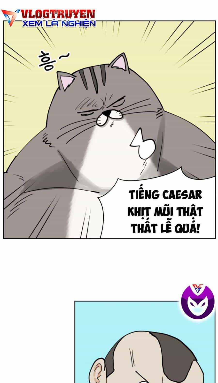 Con Mèo Đô Vật Của Tôi - Chương 5 - ảnh 27