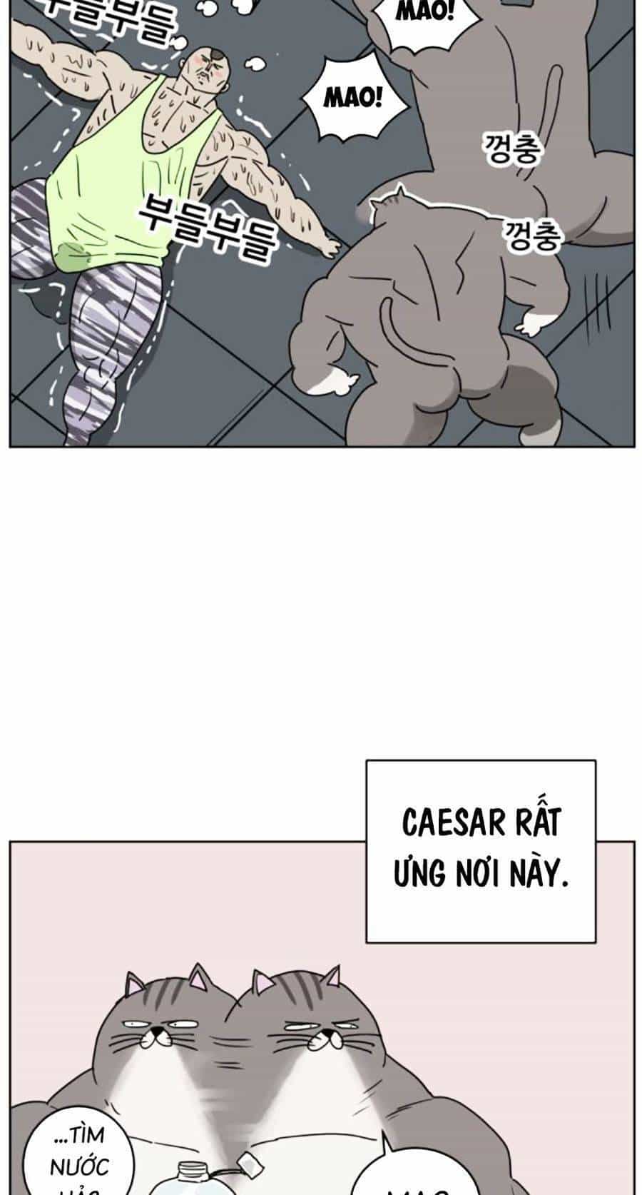 Con Mèo Đô Vật Của Tôi - Chương 5 - ảnh 39