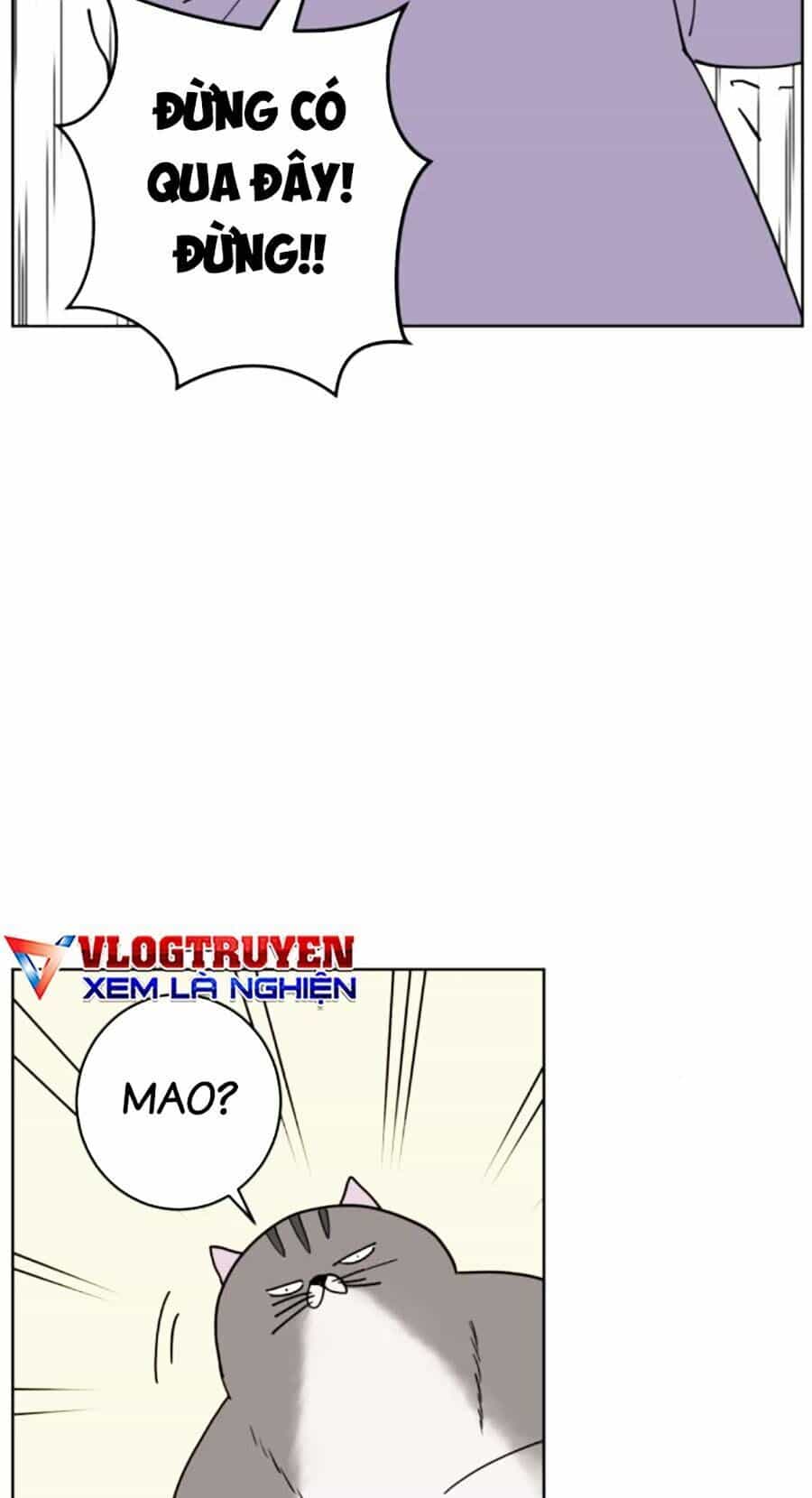 Con Mèo Đô Vật Của Tôi - Chương 6 - ảnh 47