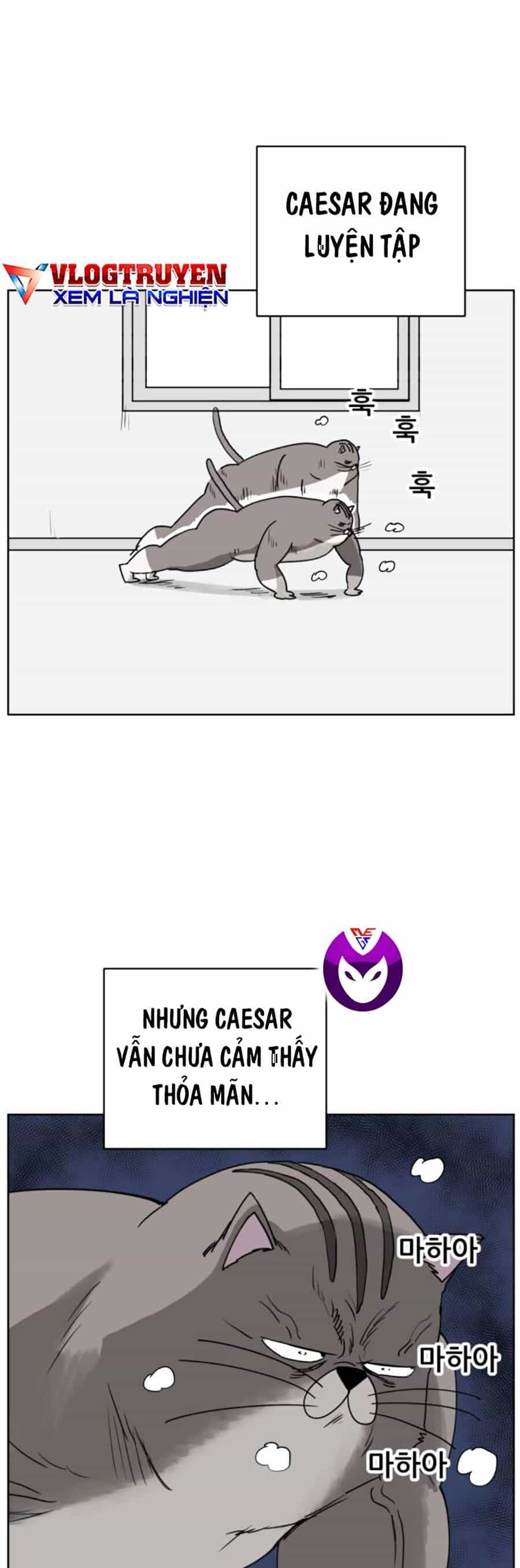 Con Mèo Đô Vật Của Tôi - Chương 7 - ảnh 2