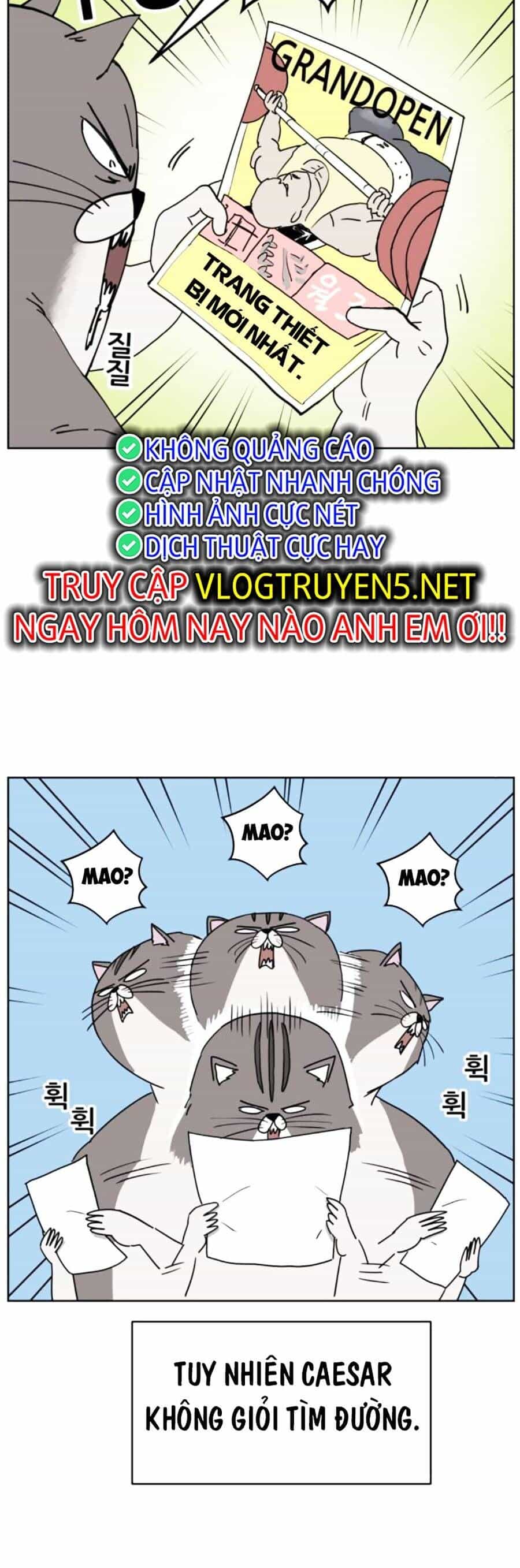 Con Mèo Đô Vật Của Tôi - Chương 7 - ảnh 20