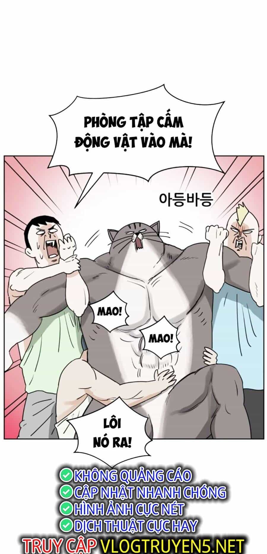 Con Mèo Đô Vật Của Tôi - Chương 7 - ảnh 44