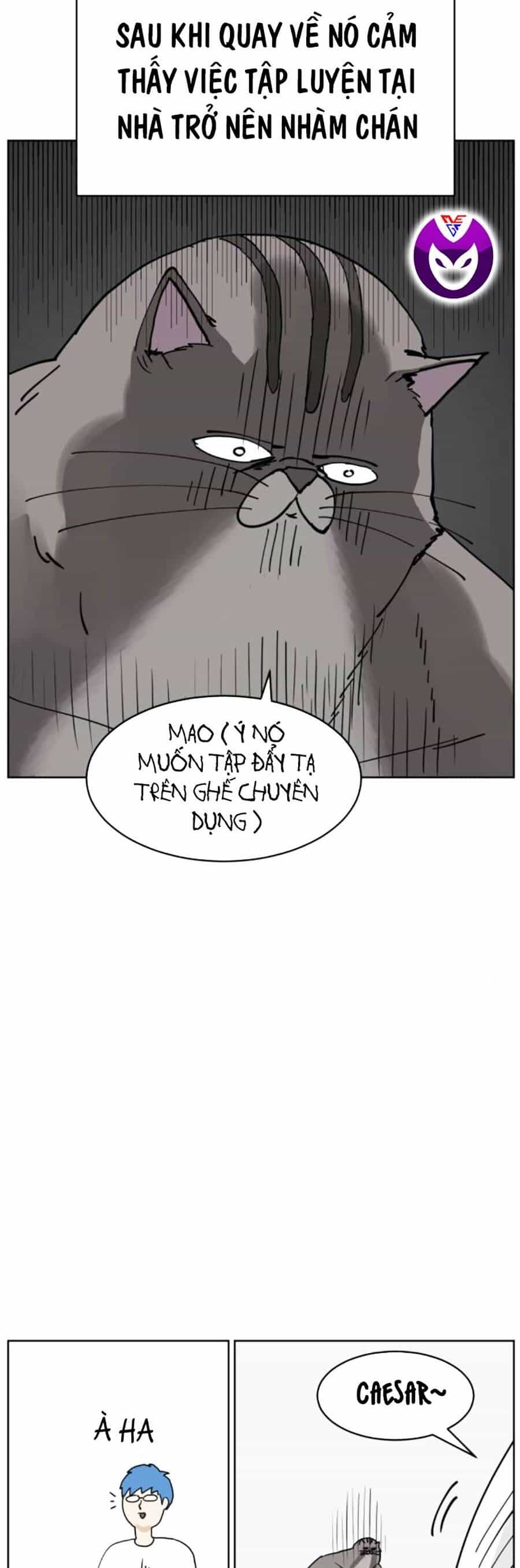 Con Mèo Đô Vật Của Tôi - Chương 7 - ảnh 7