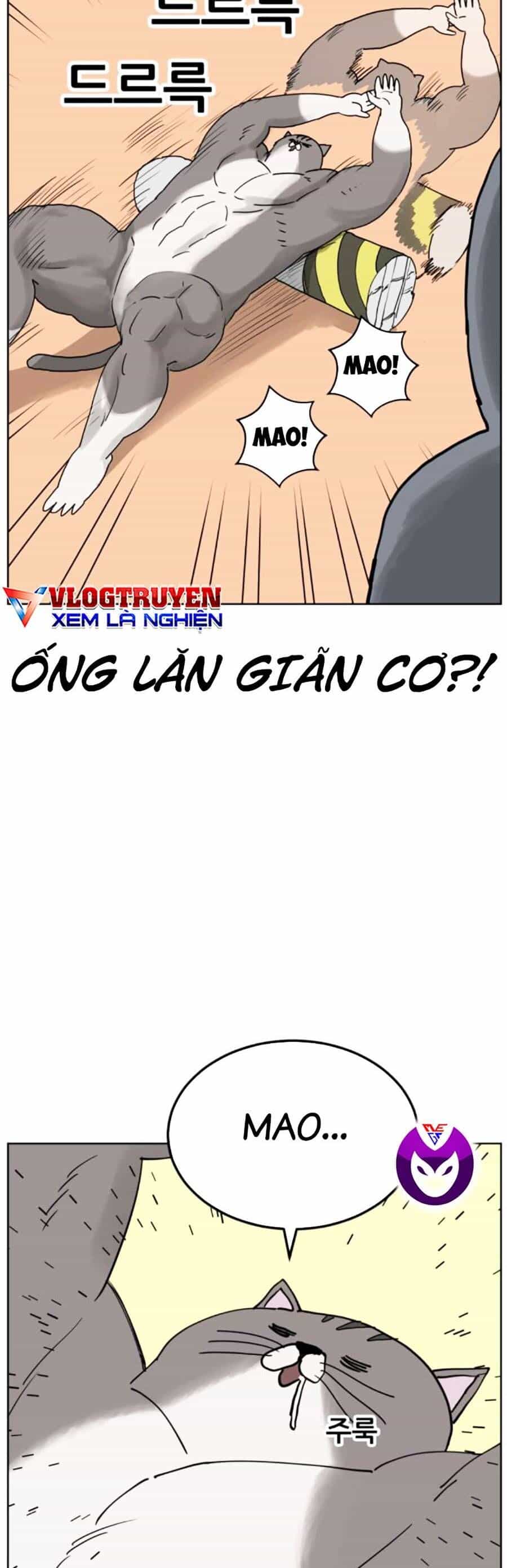 Con Mèo Đô Vật Của Tôi - Chương 8 - ảnh 11