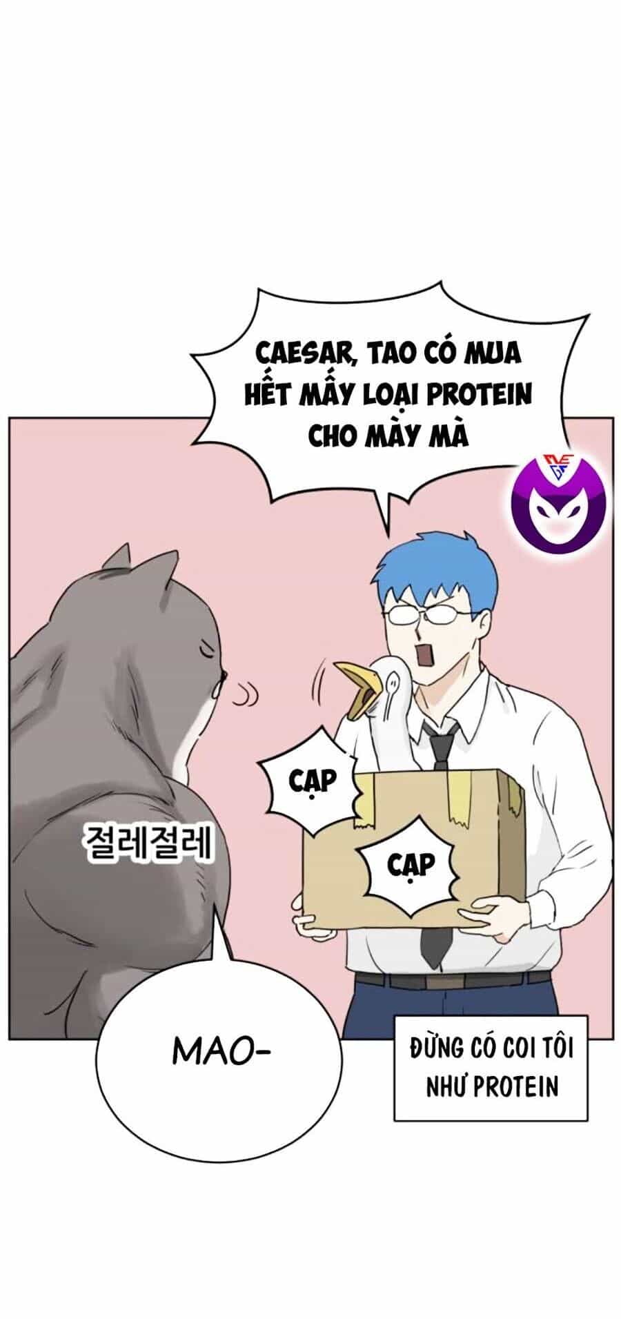 Con Mèo Đô Vật Của Tôi - Chương 8 - ảnh 23
