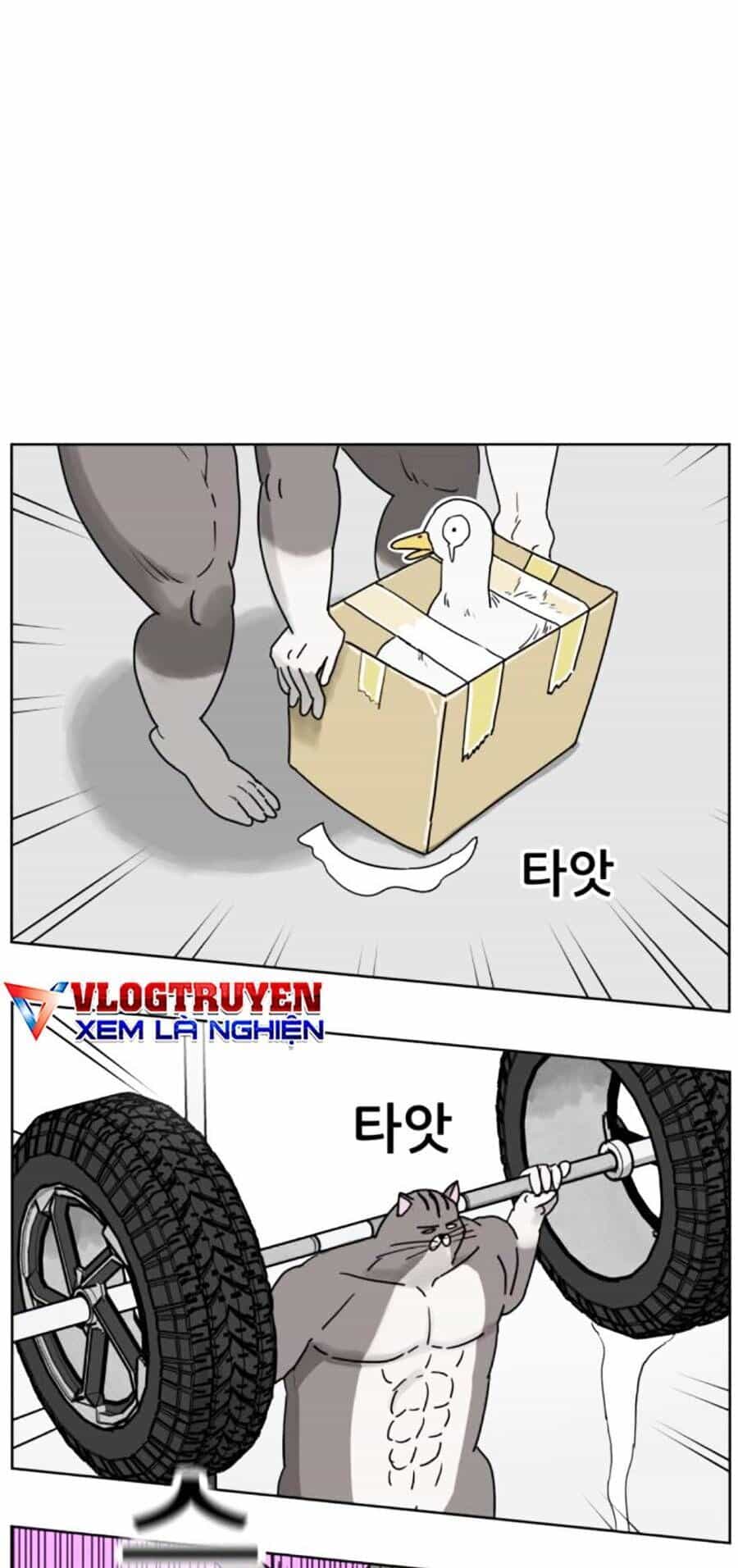 Con Mèo Đô Vật Của Tôi - Chương 8 - ảnh 24