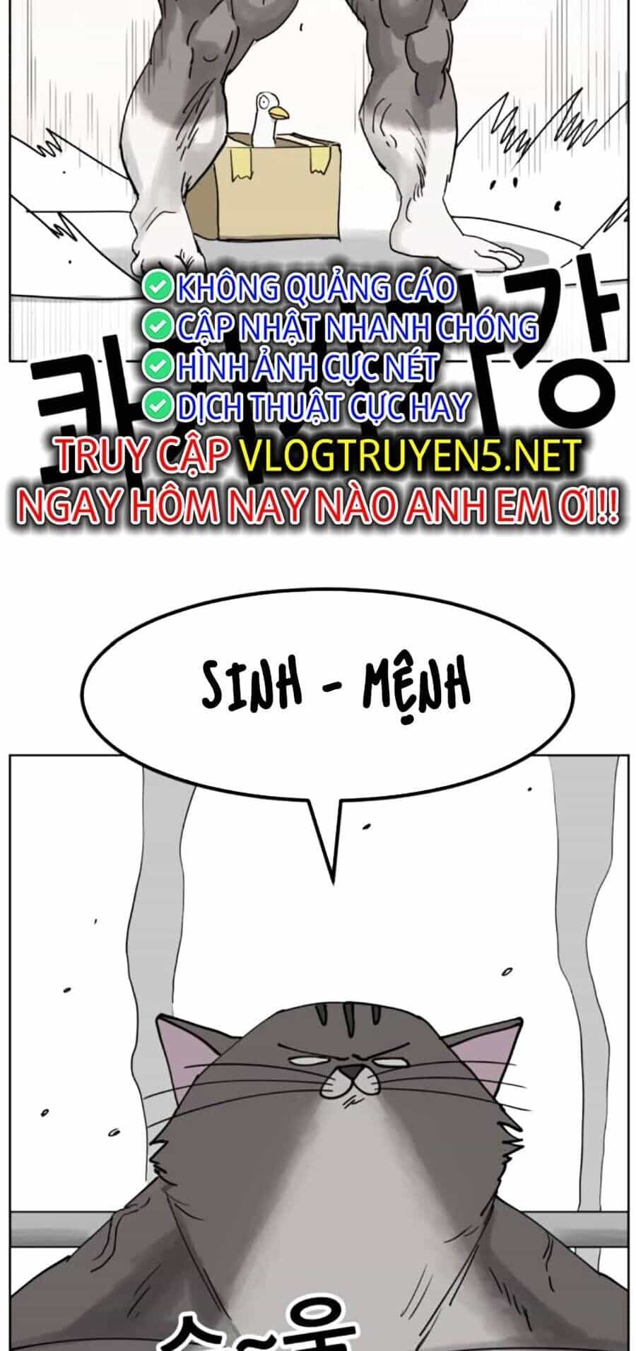 Con Mèo Đô Vật Của Tôi - Chương 8 - ảnh 27